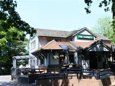 The Surrey Reviews & Prices .